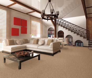Carpet Flooring Lansing MI