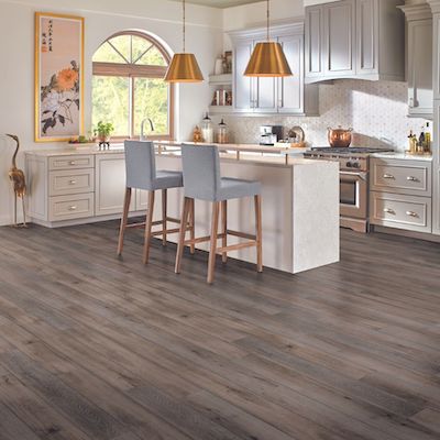 charming kitchen with luxury vinyl floors and patterned tile backsplash