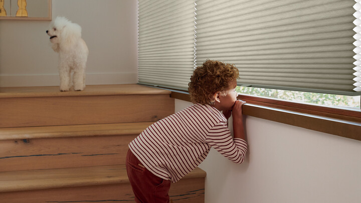 child looking outside of window with cellular window treatments window shades